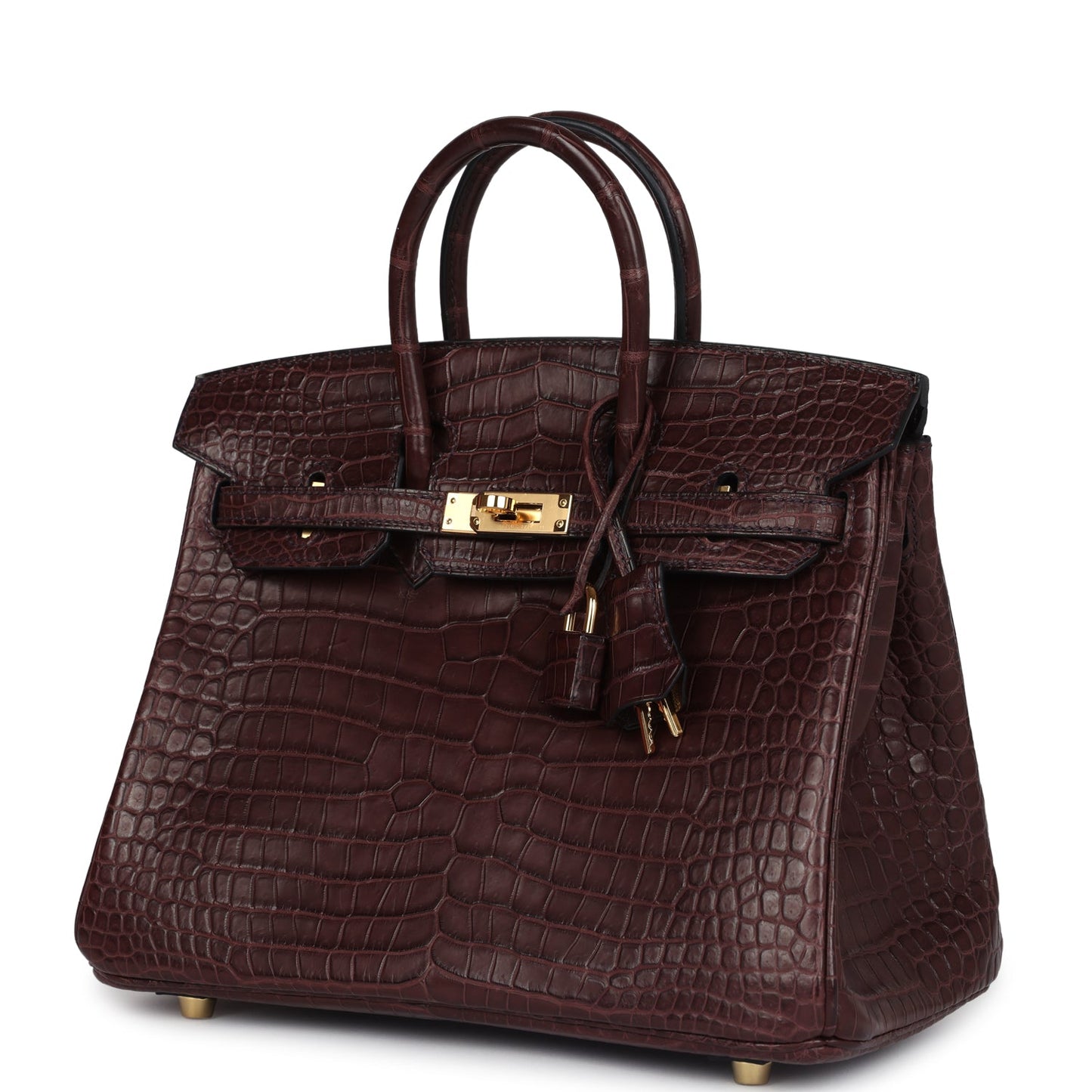 Hermes Birkin 25 Rouge Sellier Matte Porosus Crocodile Gold Hardware