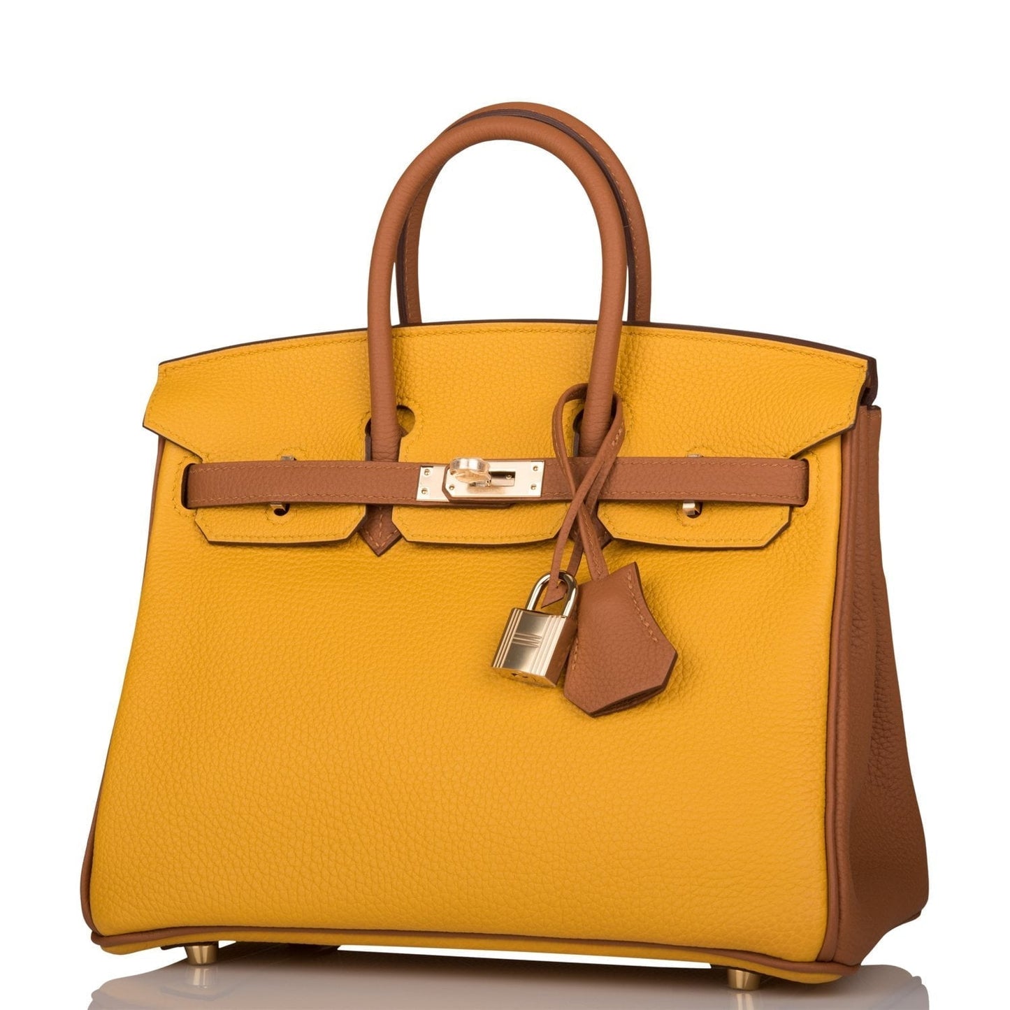 Hermes Birkin 25 Jaune Ambre Special Order with Gold Togo Permabrass Hardware
