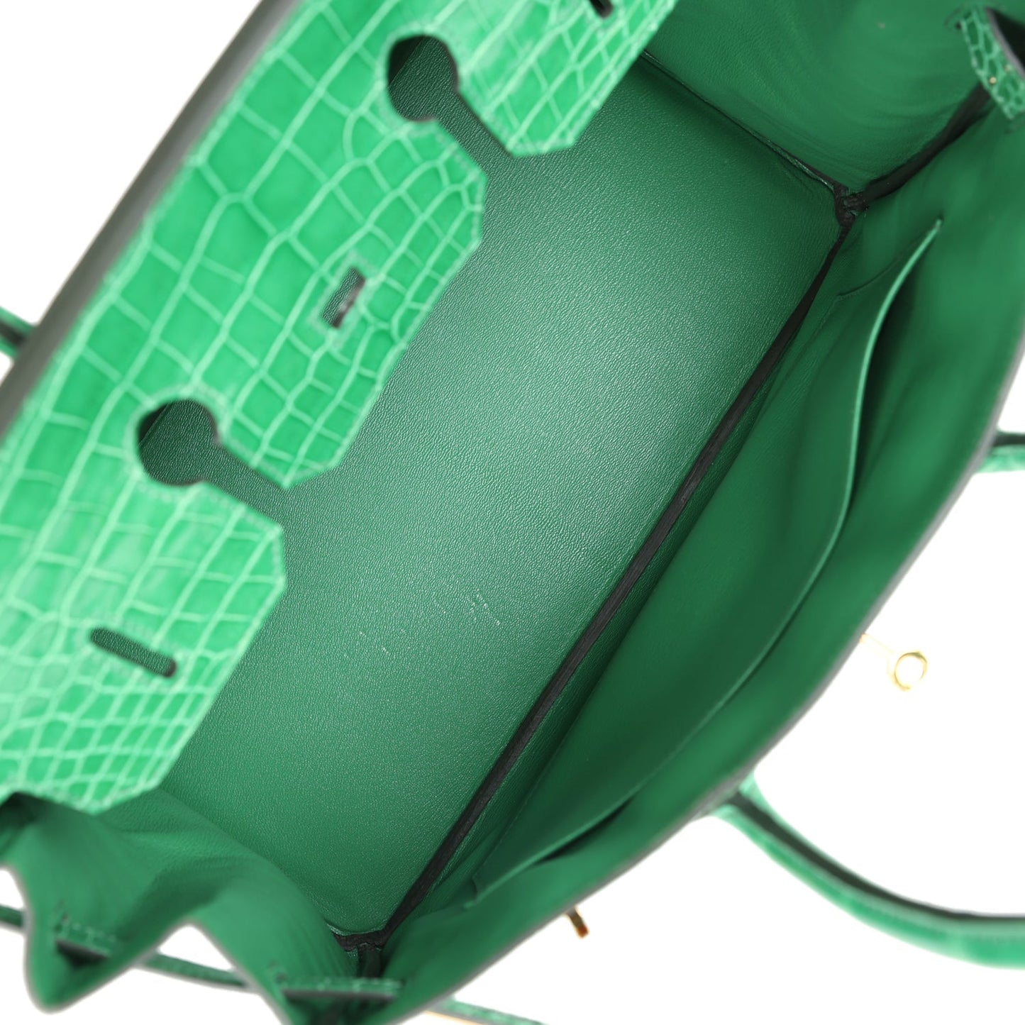 Hermes Birkin 35 Cactus Shiny Porosus Crocodile Gold Hardware