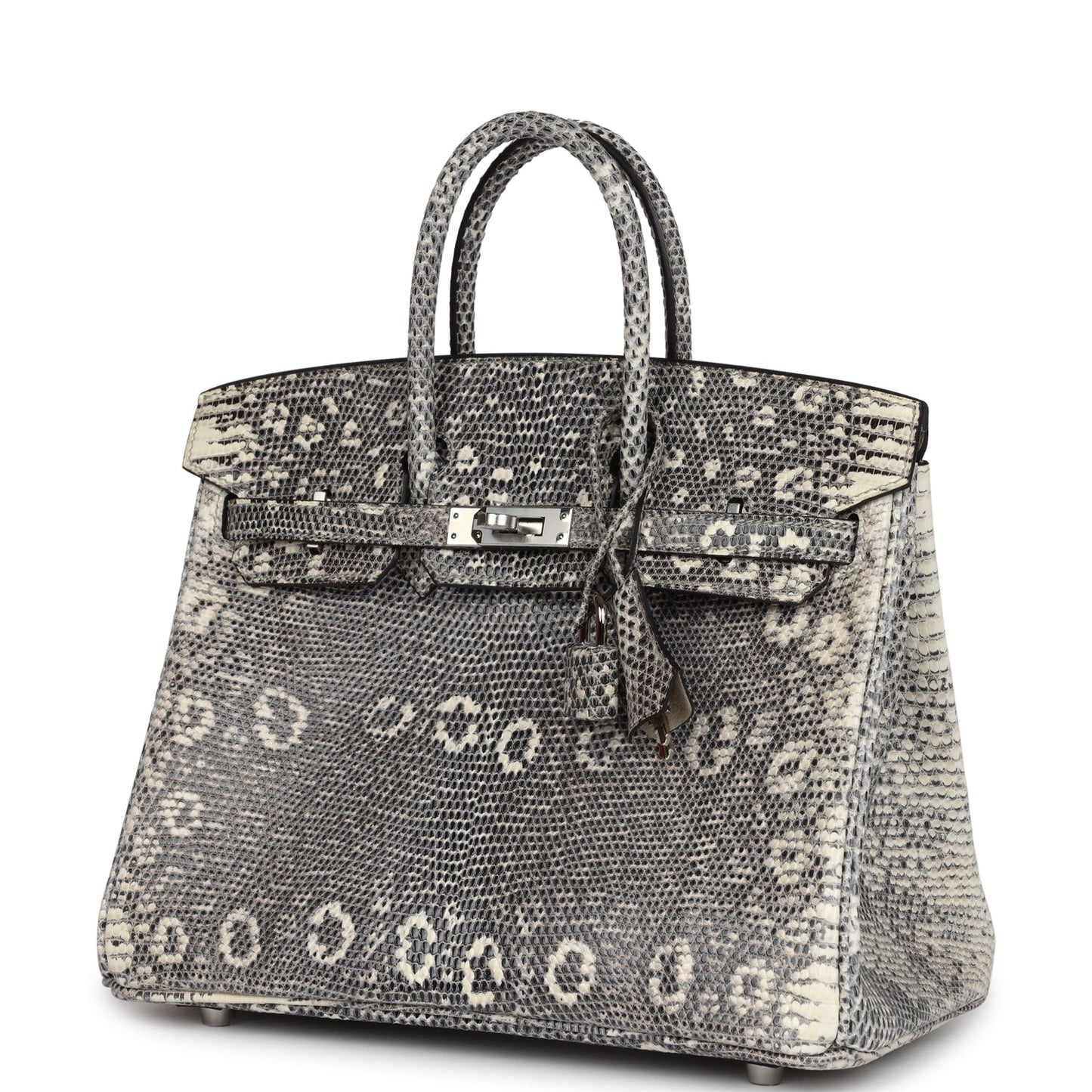 Hermes Birkin 25 Ombre Varanus Salvator Lizard Palladium Hardware