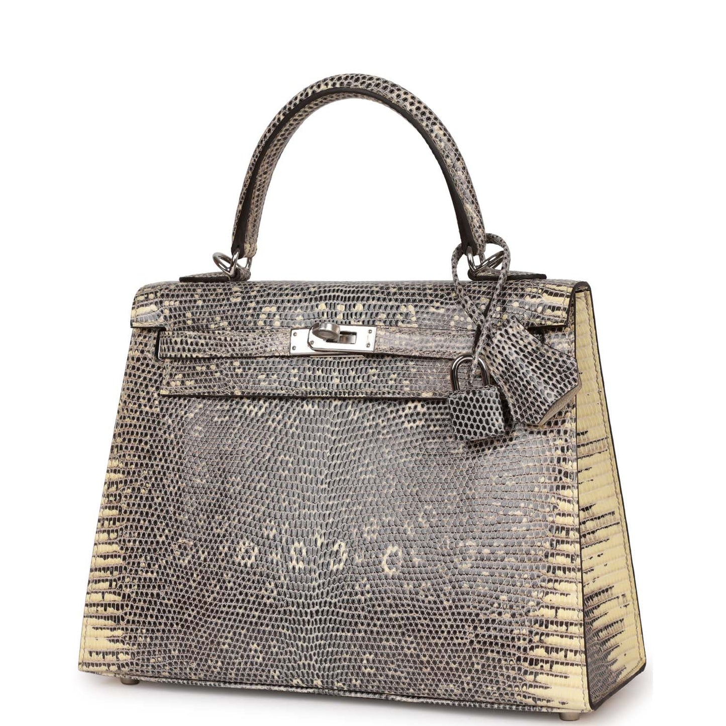 Hermes Kelly Sellier 25 Ombre Varanus Salvator Lizard Palladium Hardware